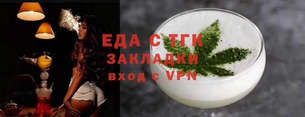 шишки Магас