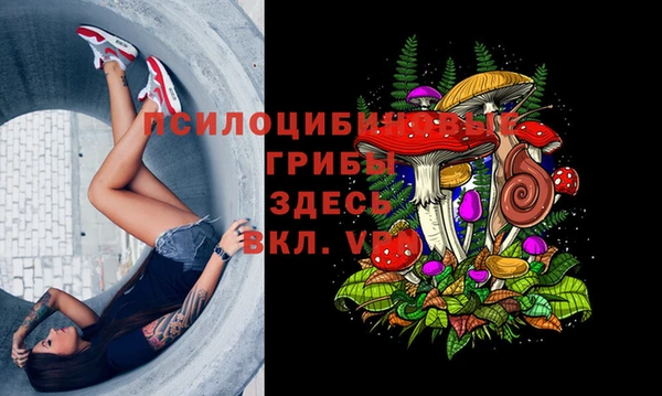 бошки Абдулино