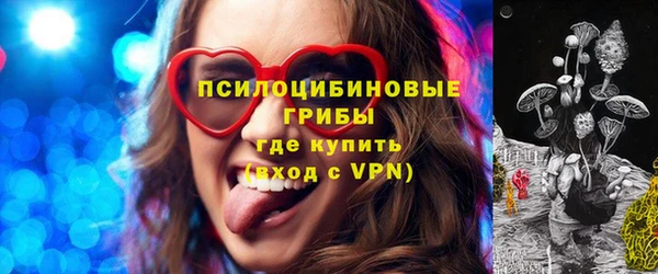 шишки Магас