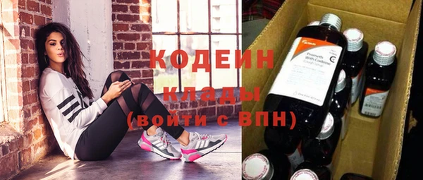 шишки Магас