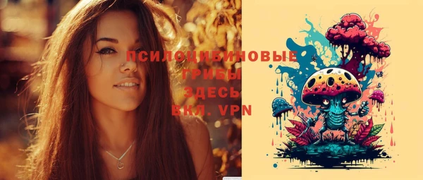 шишки Магас