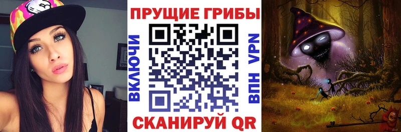 Псилоцибиновые грибы Psilocybine cubensis  как найти наркотики  Райчихинск 